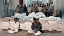 Drugs Worth Rs 11 Crore Seized From Ganja, Opium Farm In Gujarat