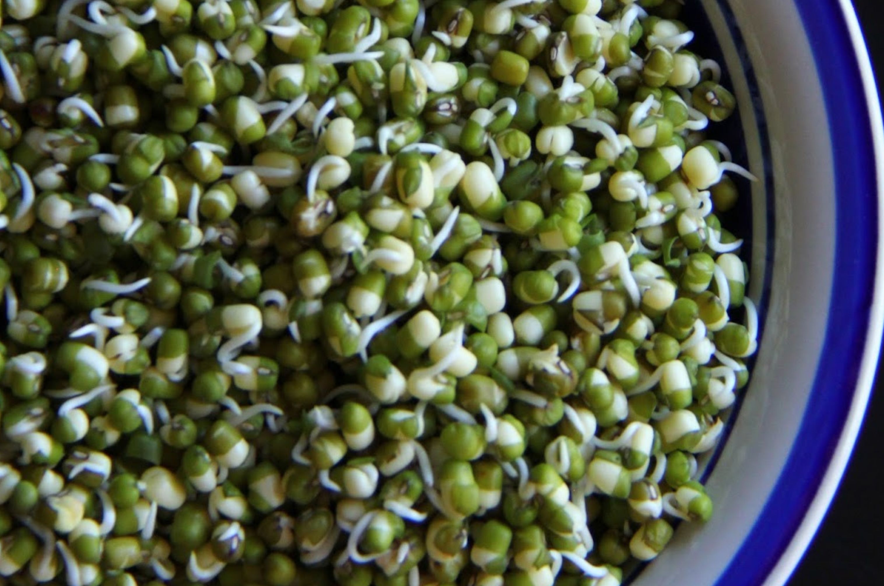 How Moong Dal Sprouts Fight Anaemia And Lower Heart Disease Risk