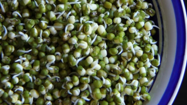 The Iron-Heart Connection: How Moong Dal Sprouts Fight Anaemia And Lower Heart Disease Risk