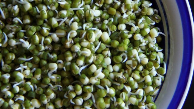 Moong dal sprouts can help fight anaemia and lower heart disease risk