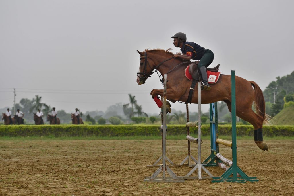 Equestrian Federation Of India Sent Rs 4.62 Crore Tax Demand Notice