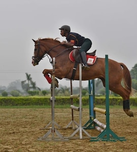 Income Tax Dept Issues Rs 4.62 Crore Demand Notice To Equestrian Federation Of India