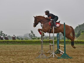 Income Tax Dept Issues Rs 4.62 Crore Demand Notice To Equestrian Federation Of India