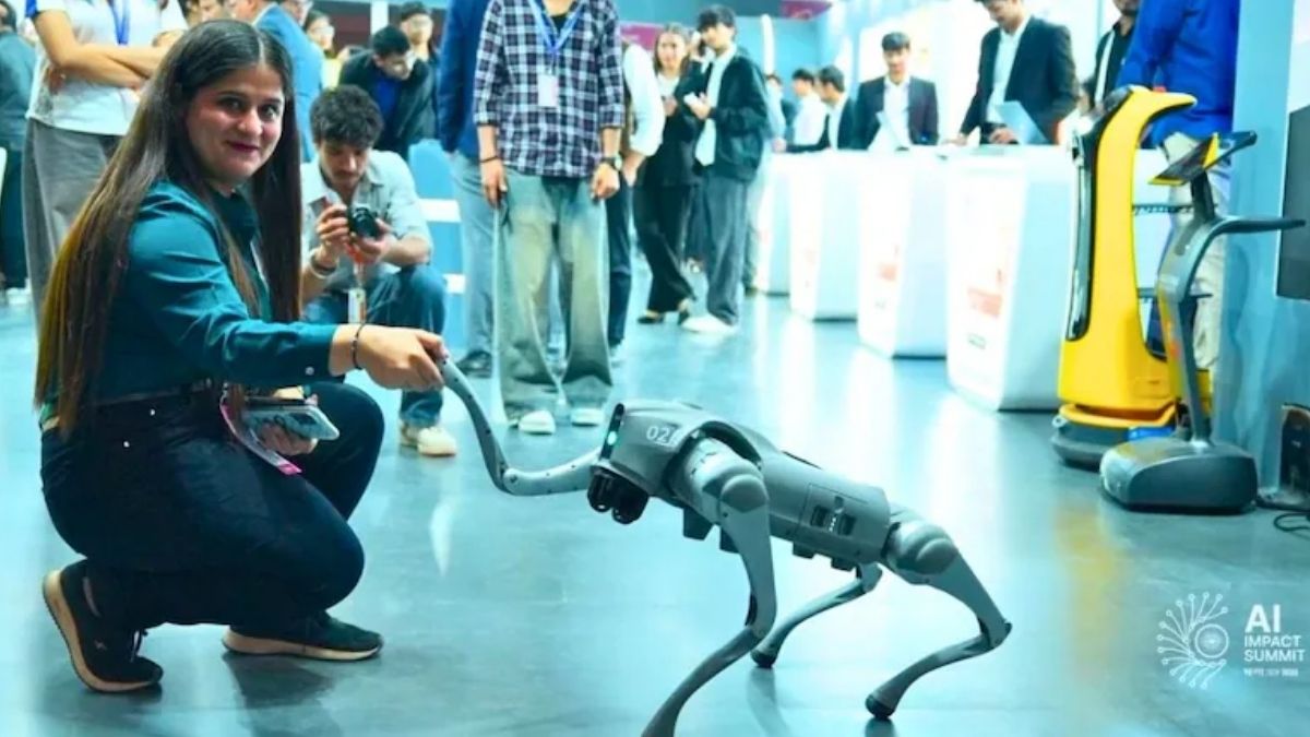 AI समिट में जिस चायनीज डॉग पर हुई गलगोटिया यूनीवर्सिटी की फजीहत, जानें उसकी हकीकत