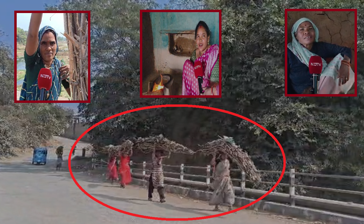 PMUY: रायसेन में उज्ज्वला योजना की जमीनी हकीकत उजागर; कई गांव आज भी गैस कनेक्शन से वंचित, देखिए NDTV पड़ताल