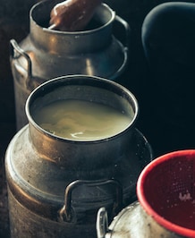 Health Benefits Of Whey Protein