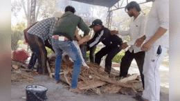 VIDEO: चितेवर रचली होती लाकडे, अग्नी देणार इतक्यात आली रुग्णवाहिका, पुढे जे घडलं ते सर्व जण पाहातच राहीले