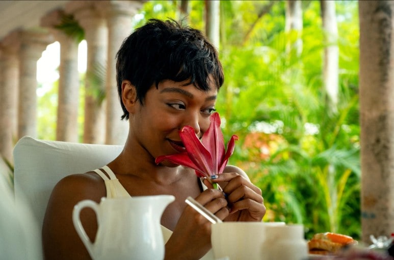  Directed by Zoe Kravitz, Blink Twice, released in 2024. Photo: IMDb