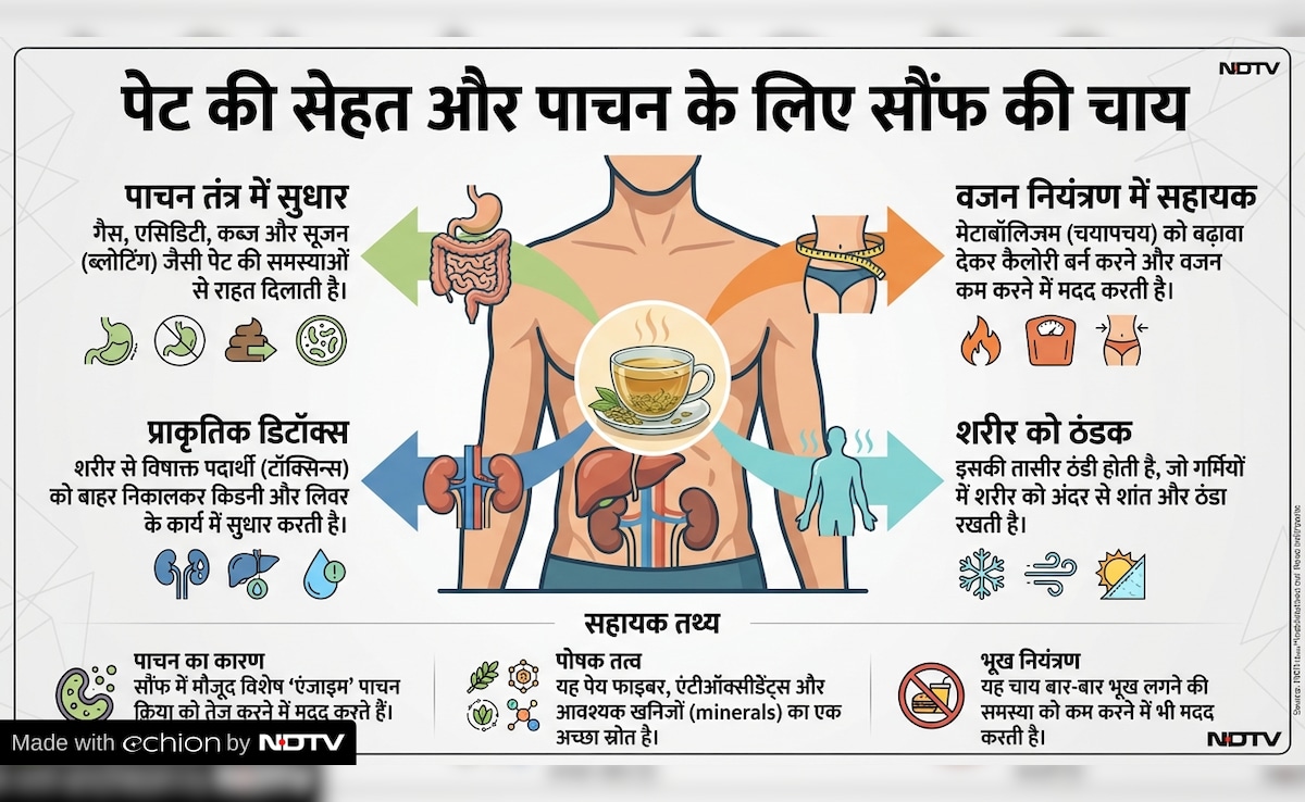 Latest and Breaking News on NDTV