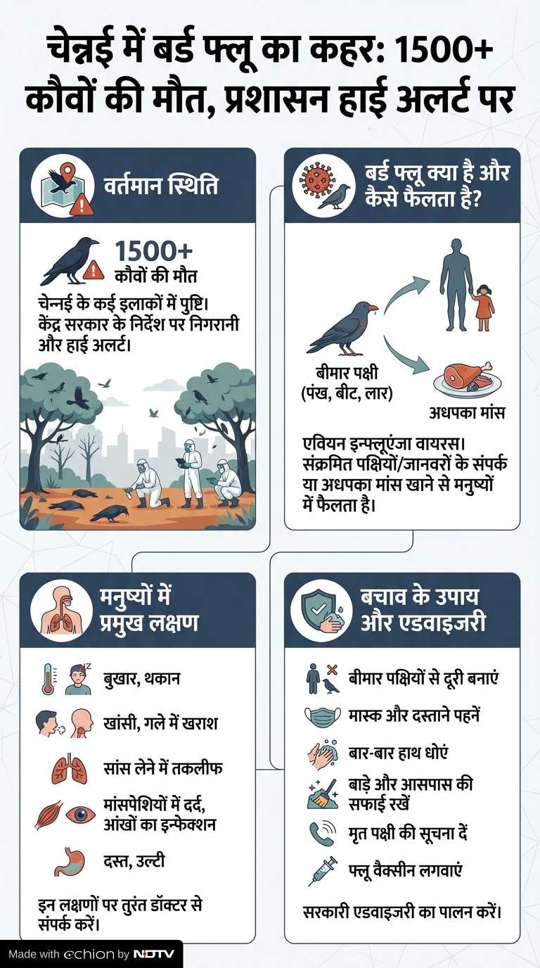 Latest and Breaking News on NDTV