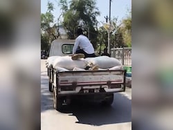 Man's CPR On Moving Vehicle Fails To Save Father In Madhya Pradesh