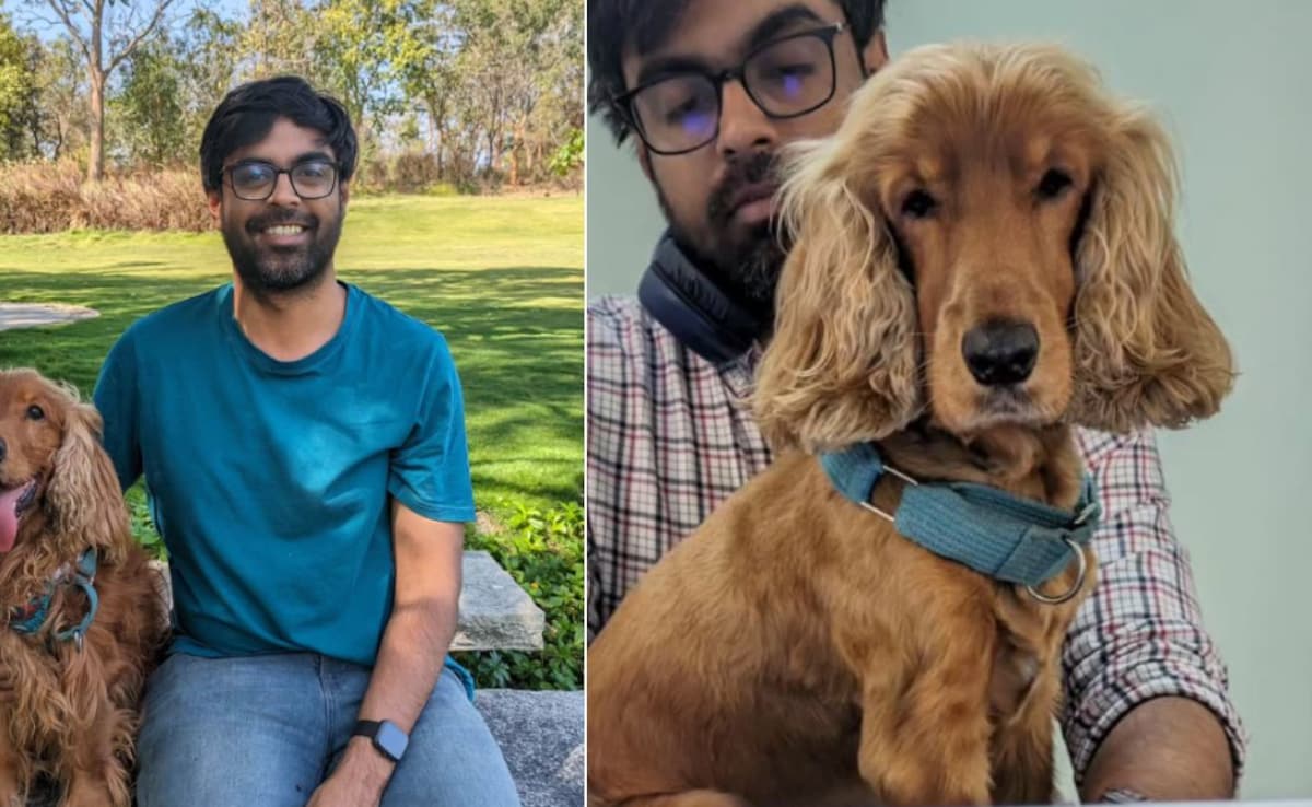 Latest and Breaking News on NDTV