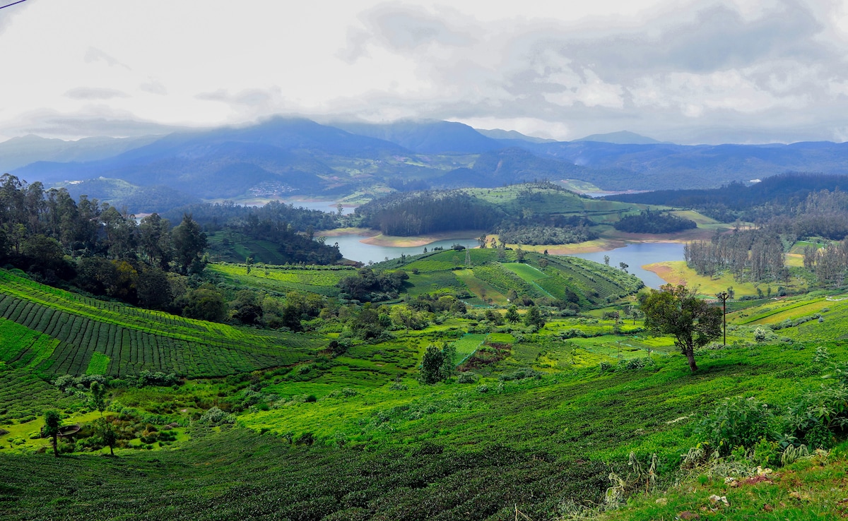 Latest and Breaking News on NDTV