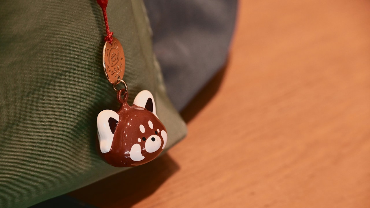 Which accessories you need to decorate your bag?