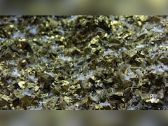 वहां निकल रहा खजाना...सोने की अफवाह फैलते ही लोगों ने खोद डाले खेत