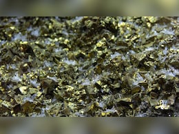 वहां निकल रहा खजाना...सोने की अफवाह फैलते ही लोगों ने खोद डाले खेत