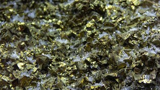 वहां निकल रहा खजाना...सोने की अफवाह फैलते ही लोगों ने खोद डाले खेत