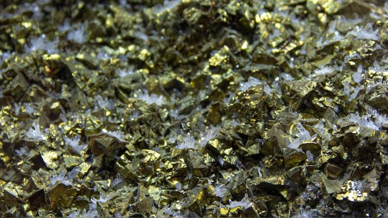 वहां निकल रहा खजाना...सोने की अफवाह फैलते ही लोगों ने खोद डाले खेत