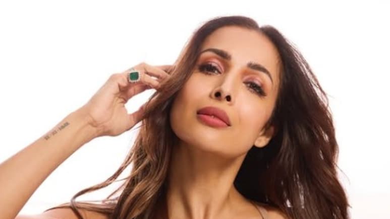 मलाइका अरोड़ा की जिंदगी में खुशियां लेकर आए हर्ष मेहता! कौन है 33 साल का ये बिजनेस मैन और कितनी है नेटवर्थ?