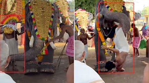 Elephant Throws Mahout Assistant Into The Air During Temple Ritual In Thrissur