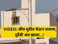 Pune VIDEO: थरारक पाठलाग, भयंकर शेवट! पोलिसांच्या भितीने पळाला, इमारतीवरुन पडून जीव गेला, हृदयद्रावक व्हिडिओ