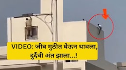 Pune VIDEO: थरारक पाठलाग, भयंकर शेवट! पोलिसांच्या भितीने पळाला, इमारतीवरुन पडून जीव गेला, हृदयद्रावक व्हिडिओ