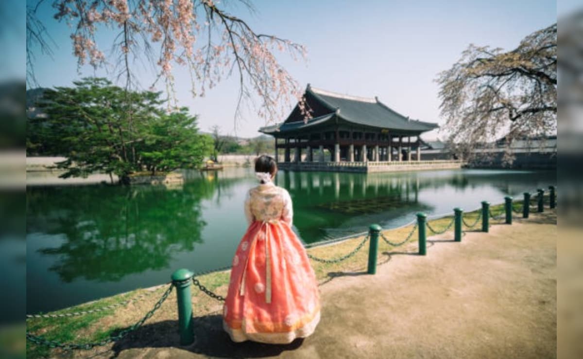 Latest and Breaking News on NDTV