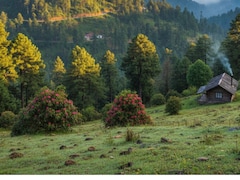 Why Dhanaulti Should Be Your Next Travel Destination