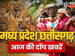 MP-Chhattisgarh Live News:  करीला धाम में 20 लाख का दान, सोने-चांदी के आभूषण भी भक्तों ने चढ़ाए, सरपंच घूसे लेते धराया, बड़ी खबरें