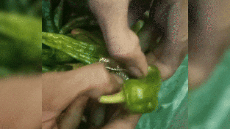 Shocking news: बाप रे! एक मिरची 5,000 रुपयांना! हिरव्या मिरचीचा 'तिखट' कारनामा पाहून पोलीसही हादरले