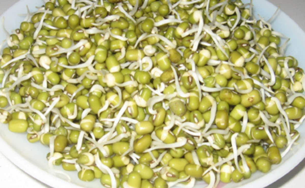 Moong dal sprouts Moong dal sprouts