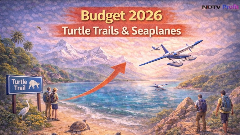 Turtle Trails and Seaplanes: Budget 2026's Unusual Bet On Adventure Tourism