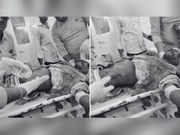 राजस्थान: सिर, आंख, पेट... भैंस चरा रहे शख्स को भालुओं ने बुरी तरह नोंच डाला, गांव में फैली दहशत