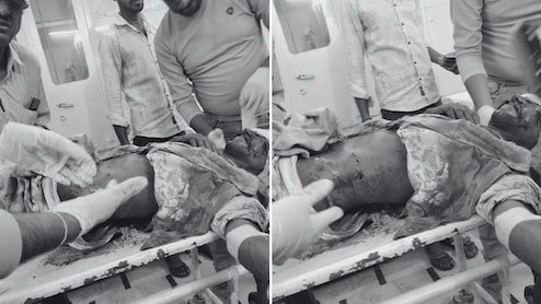 राजस्थान: सिर, आंख, पेट... भैंस चरा रहे शख्स को भालुओं ने बुरी तरह नोंच डाला, गांव में फैली दहशत