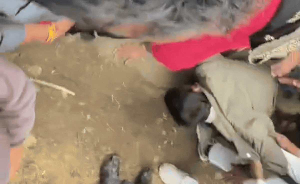 Video: SDM के पैरों में गिरा किसान, बोला- मेरे दो छोटे बच्चे... कहा जाऊंगा, ओलावृष्टि से फसल खराब हुई तो बिलखकर रोया