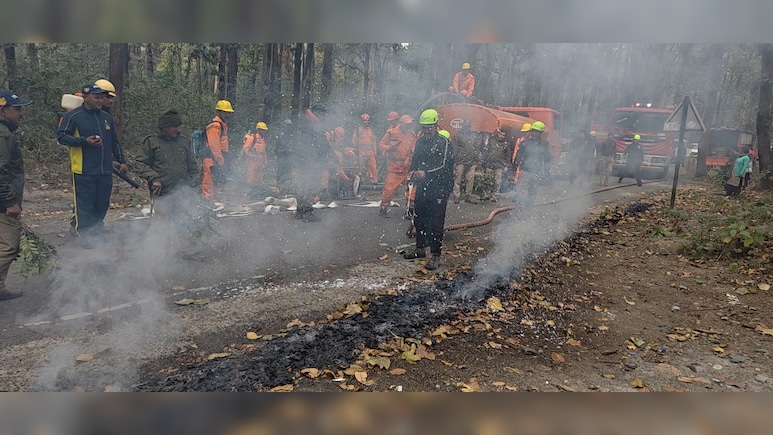 उत्तराखंड में फॉरेस्ट फायर सीजन शुरू, वन विभाग ने की मॉक ड्रिल, कम बारिश और बर्फबारी ने बढ़ाई सिरदर्दी