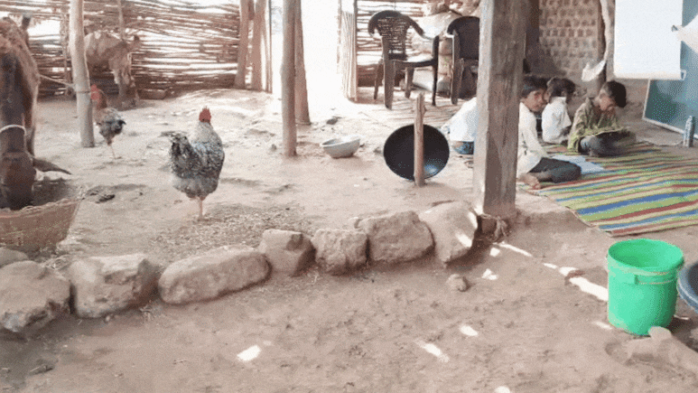 MP का तबेला स्कूल, जहां बकरी, मुर्गी और गायें भी ले रहीं 'क्लास', पढ़ते हैं 40 आदिवासी बच्चे&nbsp;