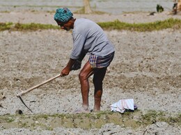 Buldhana News : सरकारी योजनेचा बोजवारा, शेतकऱ्यांना ठेंगा, लाखो रुपयेही अडकले