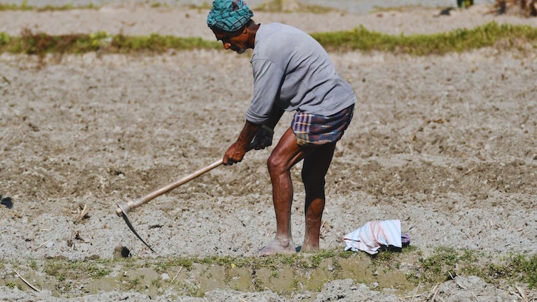 Buldhana News : सरकारी योजनेचा बोजवारा, शेतकऱ्यांना ठेंगा, लाखो रुपयेही अडकले