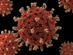 US Exit From The World Health Organization Marks A New Era In Global Health Policy