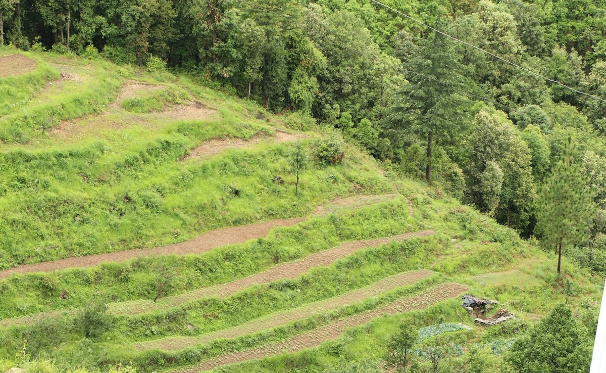 Latest and Breaking News on NDTV