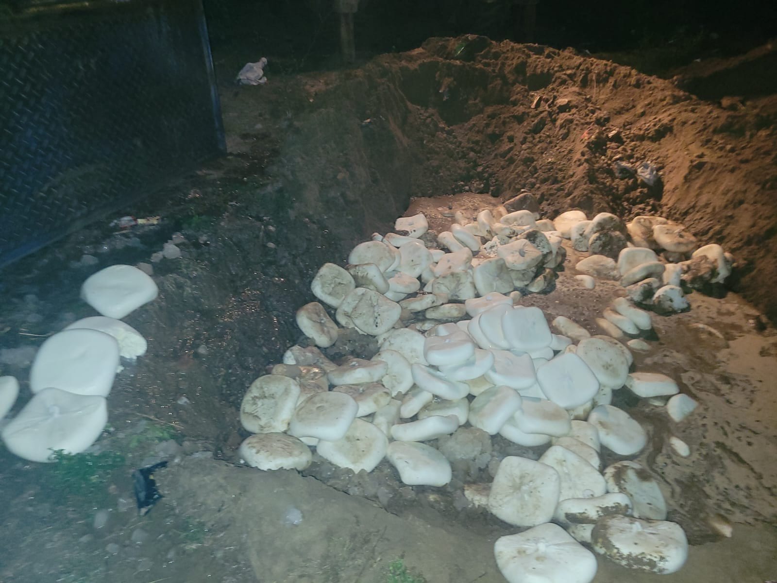 Hyderabad police seize 122 tonnes of adulterated food in 100 days