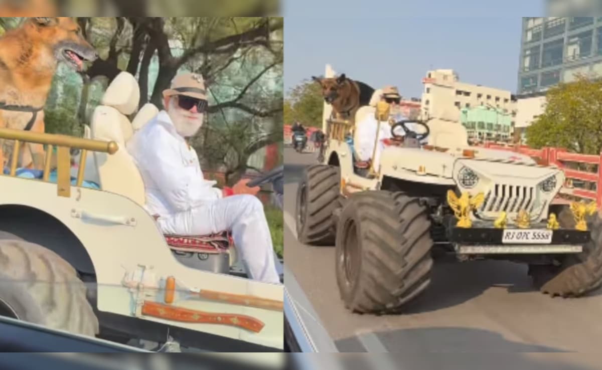 मॉडिफाइड जीप में पेट्स डॉग्स संग रॉयल अंदाज में निकला शख्स, वायरल वीडियो ने ट्रैफिक सेफ्टी पर छेड़ी बहस