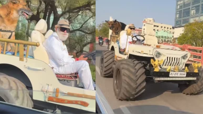 मॉडिफाइड जीप में पेट्स डॉग्स संग रॉयल अंदाज में निकला शख्स, वायरल वीडियो ने ट्रैफिक सेफ्टी पर छेड़ी बहस
