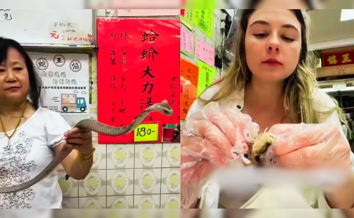 चिकन-मटन नहीं यहां प्लेट में परोसा जा रहा है जहरीला कोबरा, सांपों का मेनू देख उड़ जाएंगे होश