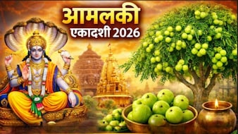 विष्णु पूजा के बाद करें आंवले का दान, जानें आज आमलकी एकादशी पर क्या-क्या करना शुभ माना जाता है