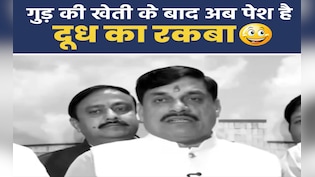 MP में गुड़ की खेती के बाद अब बढ़ेगा दूध उत्पादन का रकबा; कांग्रेस ने ले लिए CM मोहन यादव के मजे, देखिए वीडियो