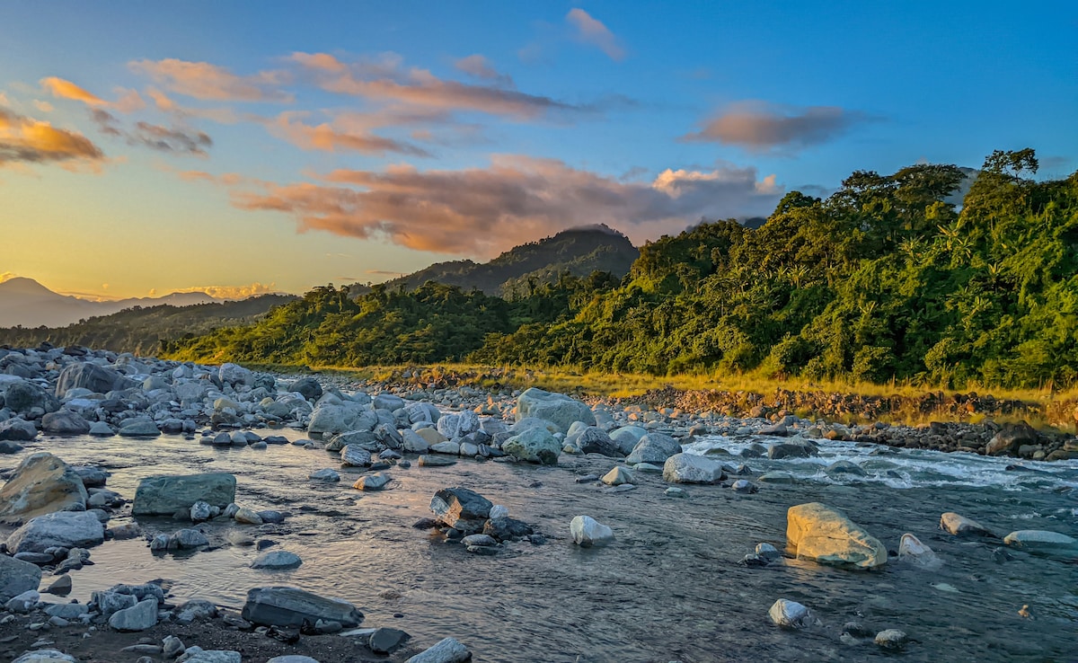 Latest and Breaking News on NDTV Latest and Breaking News on NDTV