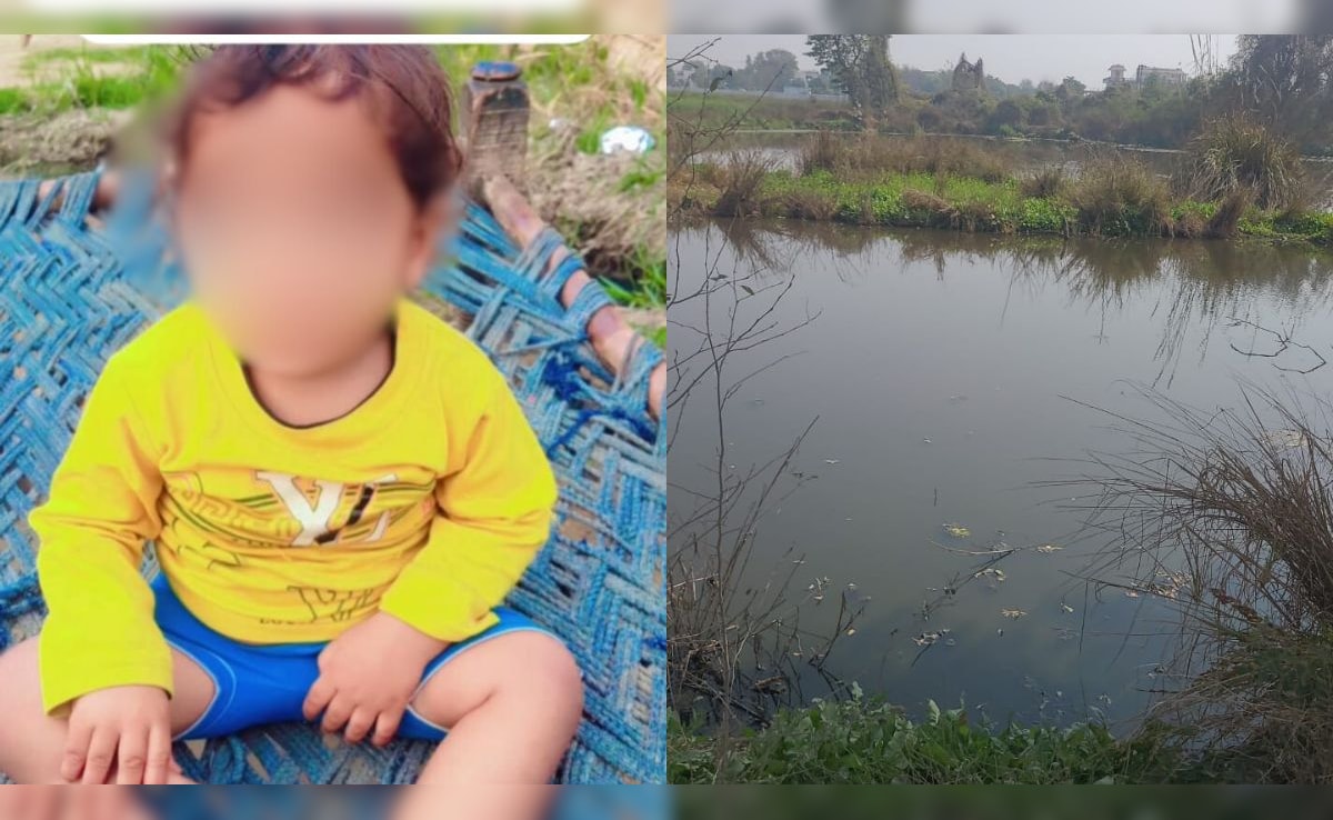 The Art of Baking: From Classic Bread to Artisan Pastries