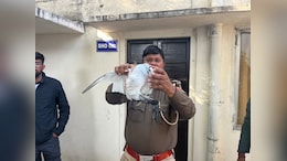 कबूतरबाजी के नाम पर लाखों का सट्टा,4 2 कोलंबिया कबूतर रेस्क्यू,; तीन आरोपी गिरफ्तार किए गए